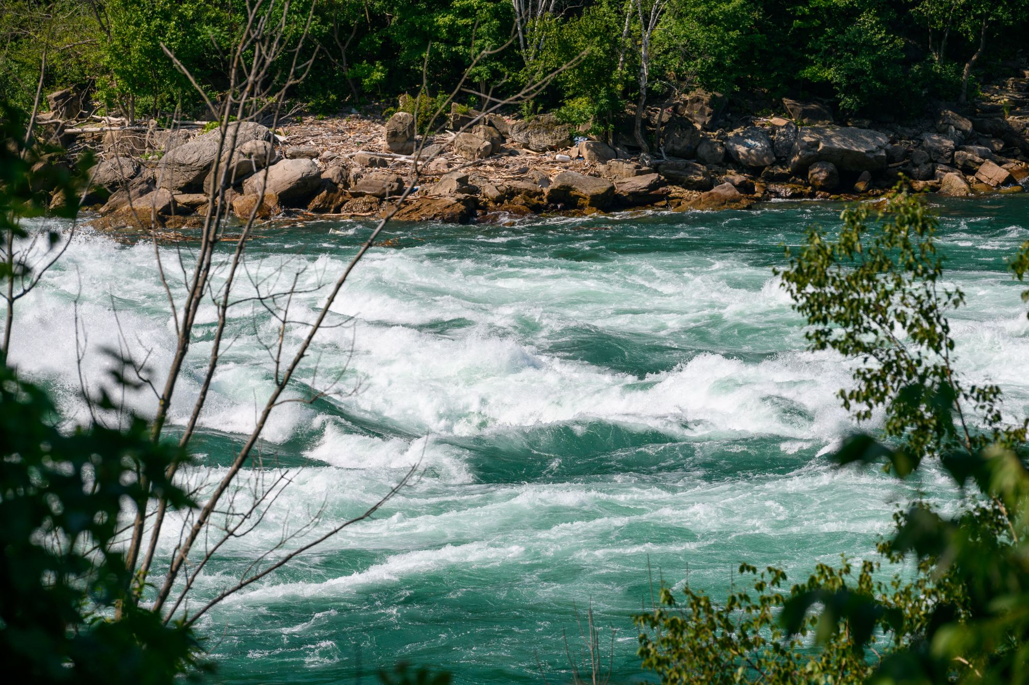 Gorge Trail, Falls, Jet Boat  (14 of 55)